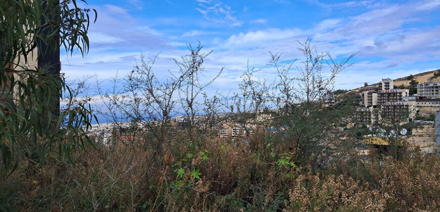Land for Sale Blat Jbeil Area 1091Sqm