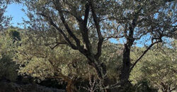 Land for Sale Bejjeh Jbeil Area 5410Sqm