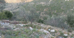 Land for Sale Bejjeh Jbeil Area 2330Sqm