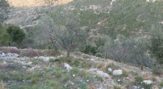 Land for Sale Bejjeh Jbeil Area 2330Sqm
