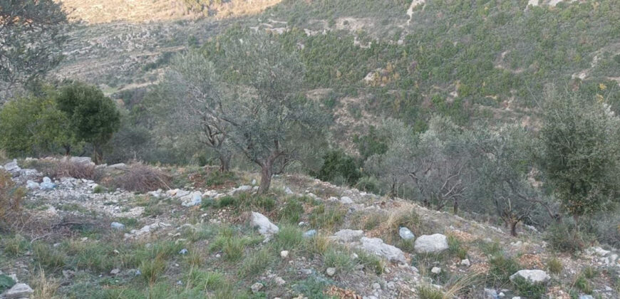 Land for Sale Bejjeh Jbeil Area 2330Sqm