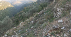 Land for Sale Bejjeh Jbeil Area 2330Sqm