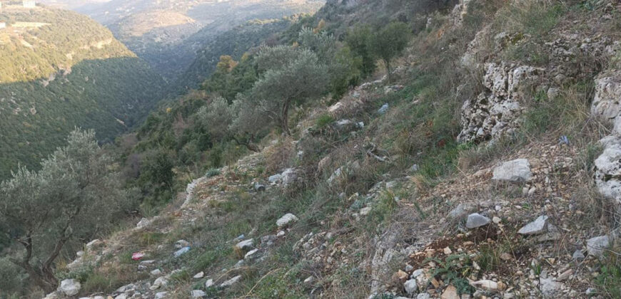 Land for Sale Bejjeh Jbeil Area 2330Sqm