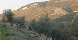Land for Sale Bejjeh Jbeil Area 2330Sqm