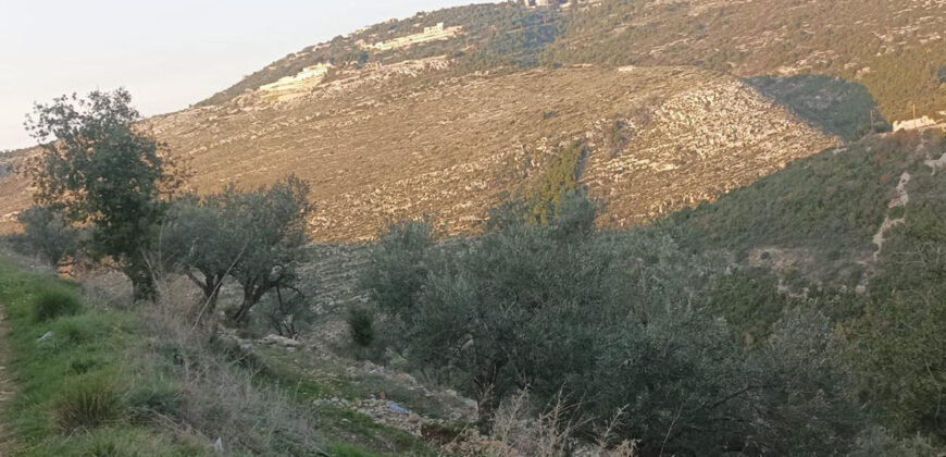 Land for Sale Bejjeh Jbeil Area 2330Sqm