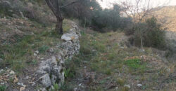 Land for Sale Bejjeh Jbeil Area 2330Sqm
