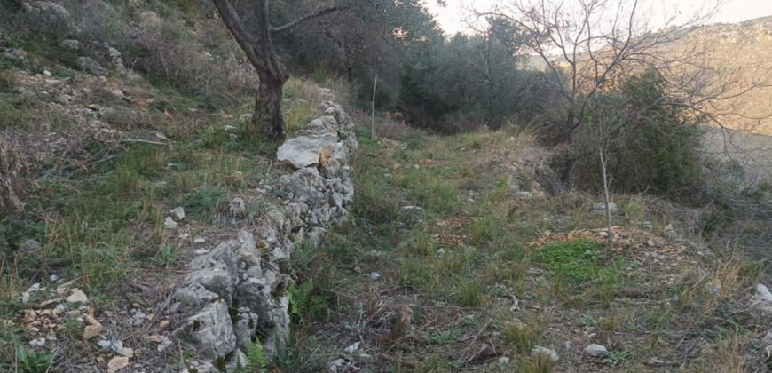 Land for Sale Bejjeh Jbeil Area 2330Sqm