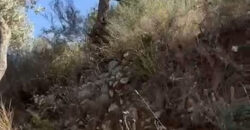 Land for Sale Ain Kfaa Jbeil Area 6590Sqm