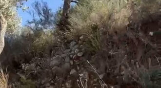 Land for Sale Ain Kfaa Jbeil Area 6590Sqm