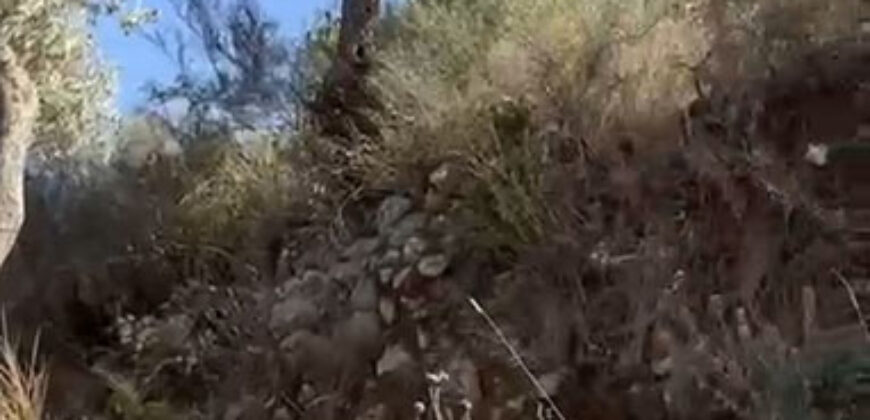 Land for Sale Ain Kfaa Jbeil Area 6590Sqm