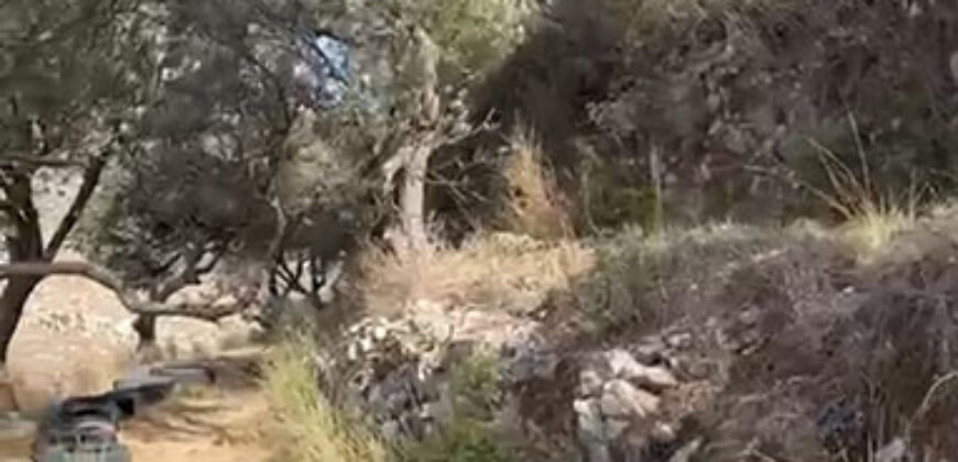Land for Sale Ain Kfaa Jbeil Area 6590Sqm