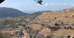 Land for Sale Ain Kfaa Jbeil Area 6590Sqm