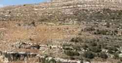 Land for Sale Ain Kfaa Jbeil Area 6590Sqm