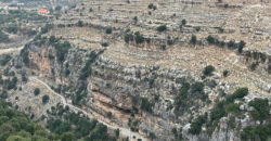 Land for Sale Ain Kfaa Jbeil Area 6590Sqm