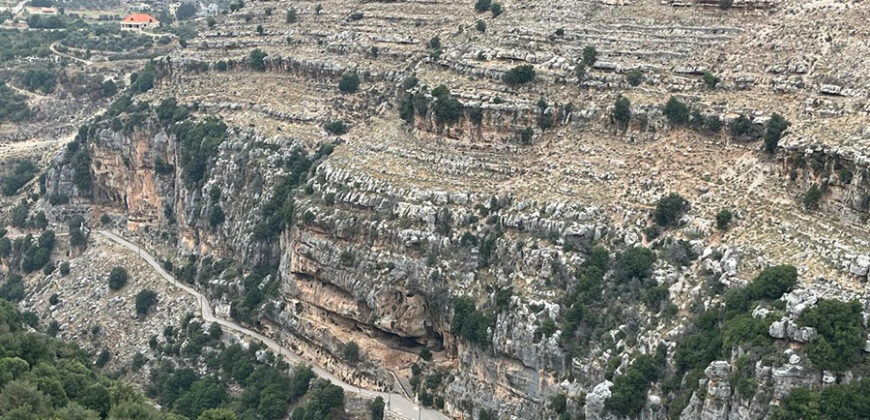 Land for Sale Ain Kfaa Jbeil Area 6590Sqm