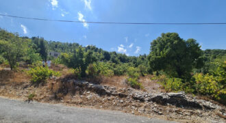 Land for Sale Lehfed Jbeil Area 2919Sqm