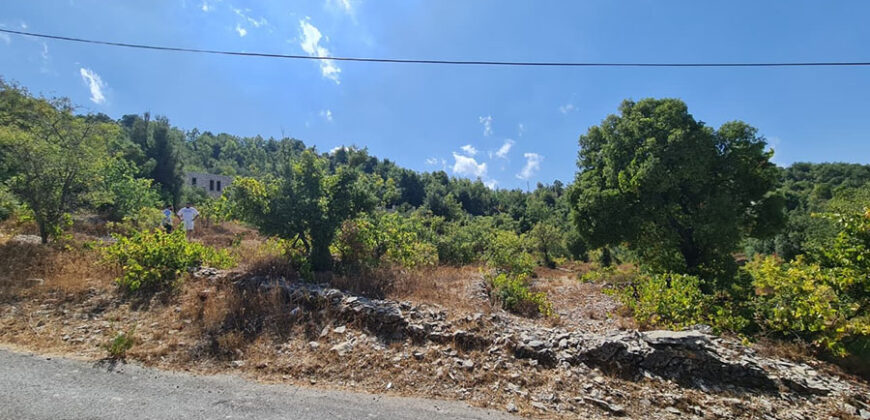 Land for Sale Lehfed Jbeil Area 2919Sqm