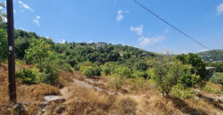 Land for Sale Lehfed Jbeil Area 2919Sqm