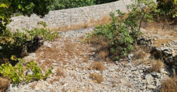 Land for Sale Lehfed Jbeil Area 2919Sqm
