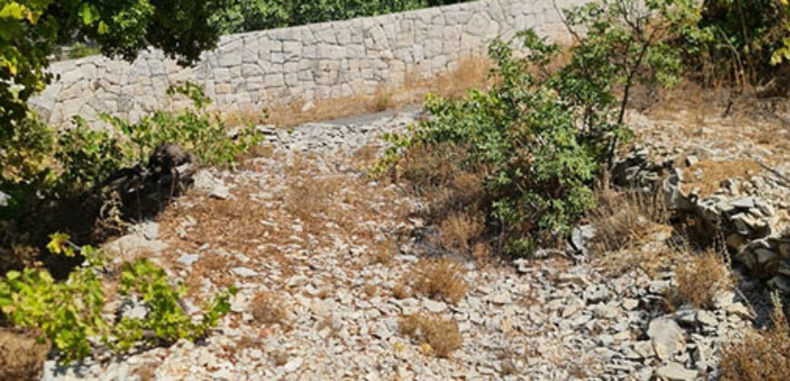 Land for Sale Lehfed Jbeil Area 2919Sqm