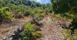 Land for Sale Lehfed Jbeil Area 2919Sqm