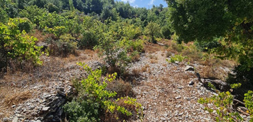 Land for Sale Lehfed Jbeil Area 2919Sqm
