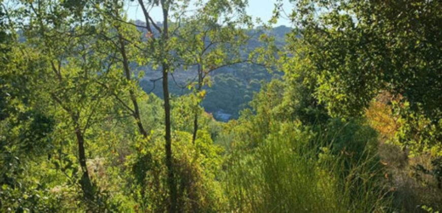 Land for Sale Kfar Hatna Batroun Area 2085Sqm