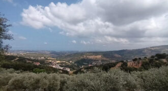 Land for Sale Chabtine Batroun Area 959Sqm