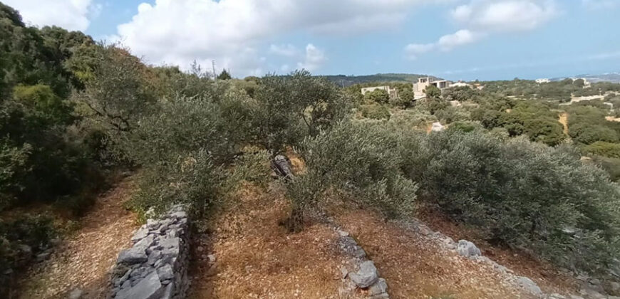 Land for Sale Chabtine Batroun Area 959Sqm