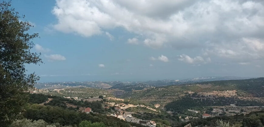 Land for Sale Chabtine Batroun Area 959Sqm