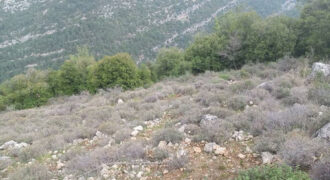 Land for Sale Hardine – Beit Kassab Batroun Area 17003Sqm