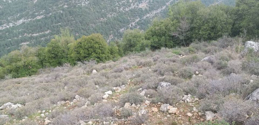Land for Sale Hardine – Beit Kassab Batroun Area 17003Sqm