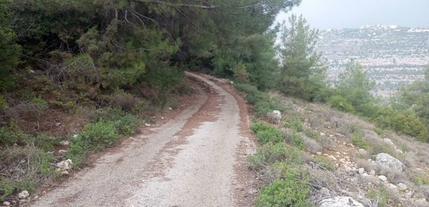 Land for Sale Hardine – Beit Kassab Batroun Area 17003Sqm