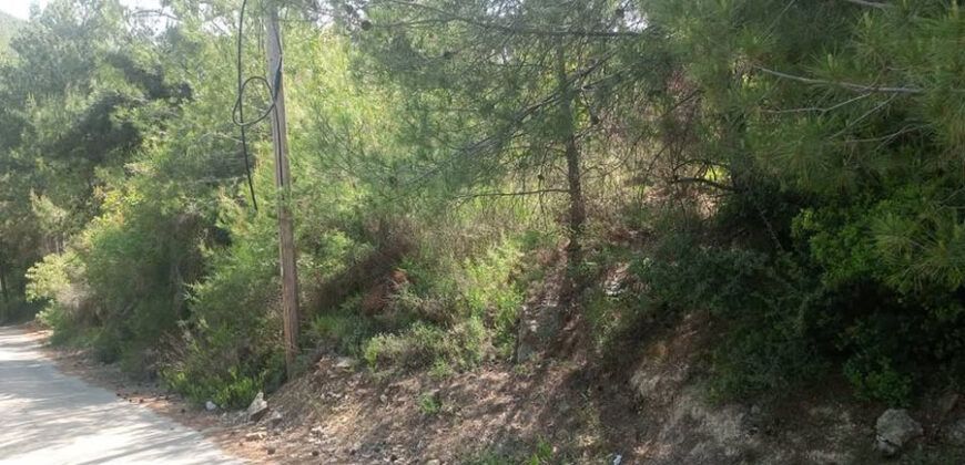 Land for Sale Hardine – Beit Kassab Batroun Area 17003Sqm