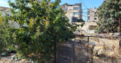 Land for Sale Jbeil ( Byblos City ) Area 469Sqm