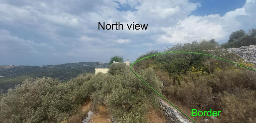 Land for Sale Aalali Batroun Area 800Sqm