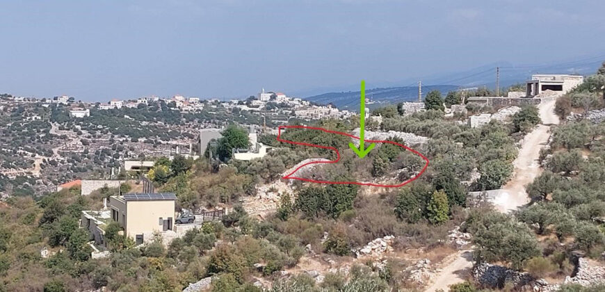 Land for Sale Aalali Batroun Area 800Sqm