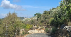 Land for Sale Aalali Batroun Area 800Sqm