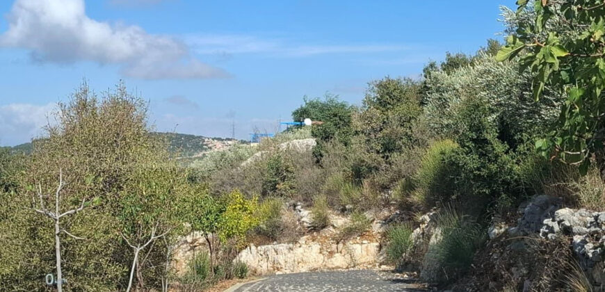 Land for Sale Aalali Batroun Area 800Sqm