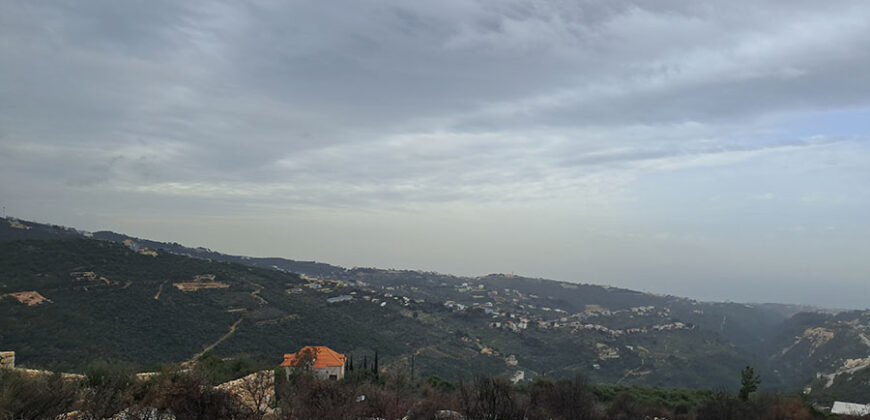 Land for Sale Aabeidat Jbeil Area 2411Sqm
