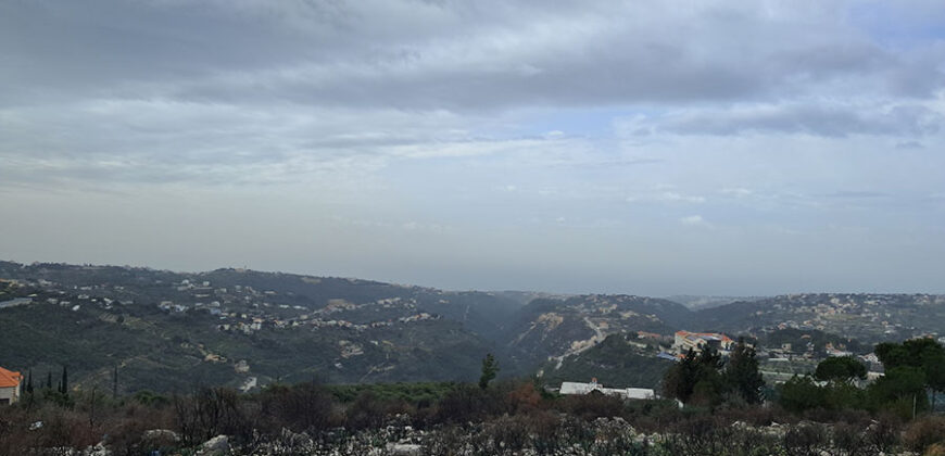 Land for Sale Aabeidat Jbeil Area 2411Sqm