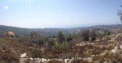 Land for Sale Aabeidat Jbeil Area 2411Sqm