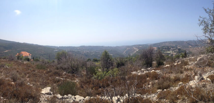 Land for Sale Aabeidat Jbeil Area 2411Sqm