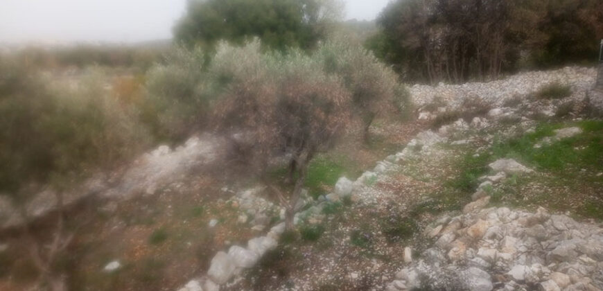 Land for Sale Sourat Batroun Area 820Sqm
