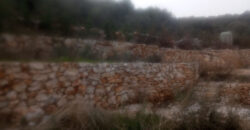 Land for Sale Sourat Batroun Area 820Sqm