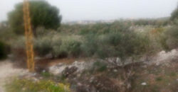 Land for Sale Sourat Batroun Area 820Sqm