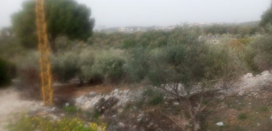 Land for Sale Sourat Batroun Area 820Sqm
