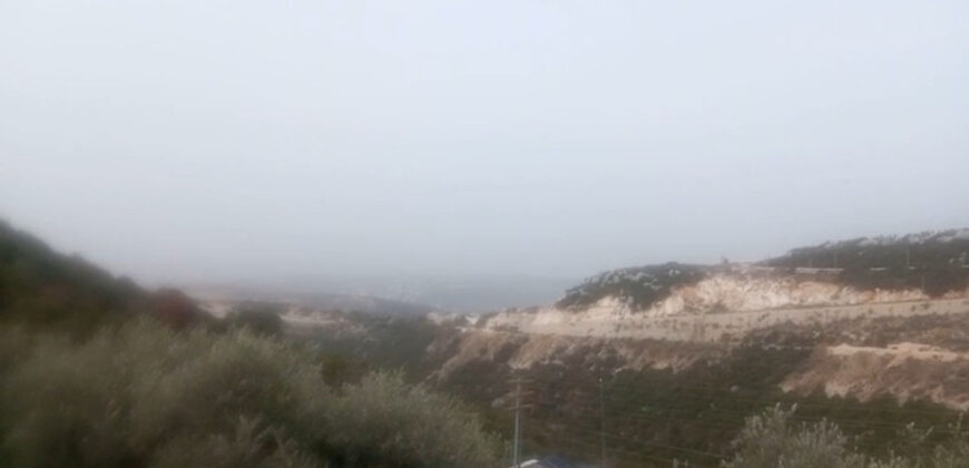 Land for Sale Halta Batroun Area 600Sqm