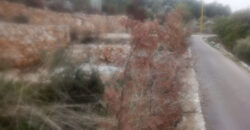 Land for Sale Halta Batroun Area 600Sqm