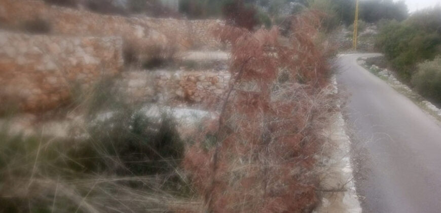 Land for Sale Halta Batroun Area 600Sqm